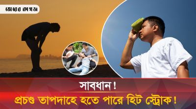এই গরমে হিট স্ট্রোক থেকে বাঁচতে সচেতন হউন 