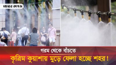 প্রচণ্ড গরম থেকে বাঁচতে কৃত্রিম কুয়াশা বানিয়ে তাক লাগিয়ে দিয়েছে