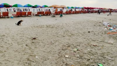 কুয়াকাটা সমুদ্র সৈকত এখন ময়লার ভাগাড়