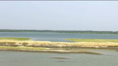 বাংলাদেশে পালিয়ে এলো বিজিপির ১৪ সদস্য 