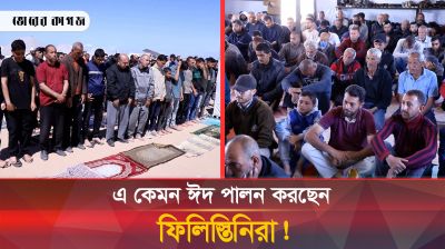 ইফতারে ঘাস খেয়েছেন, এবার শুধু বিস্কুট খেয়েই ঈদ কাটাবেন ফিলিস্তিনিরা!  