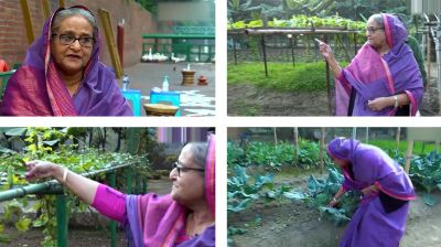  কৃষক লীগ নেতাদের গণভবনের শাক-সবজি উপহার দিলেন প্রধানমন্ত্রী 