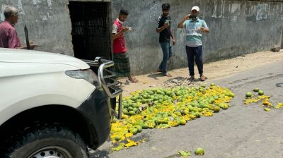 সাতক্ষীরায় রাসায়নিক দ্রব্যে পাকানো ৪শ' কেজি আম জব্দ