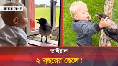 কাকের সাথে ২ বছরের শিশুর বন্ধুত্ব দেখে অবাক নেট দুনিয়া! 