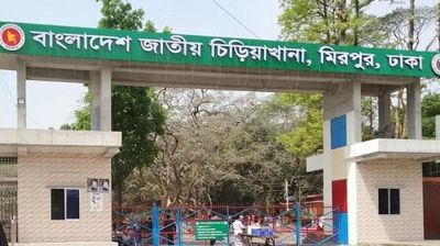 মিরপুর চিড়িয়াখানায় হাতির আঘাতে কিশোর নিহত
