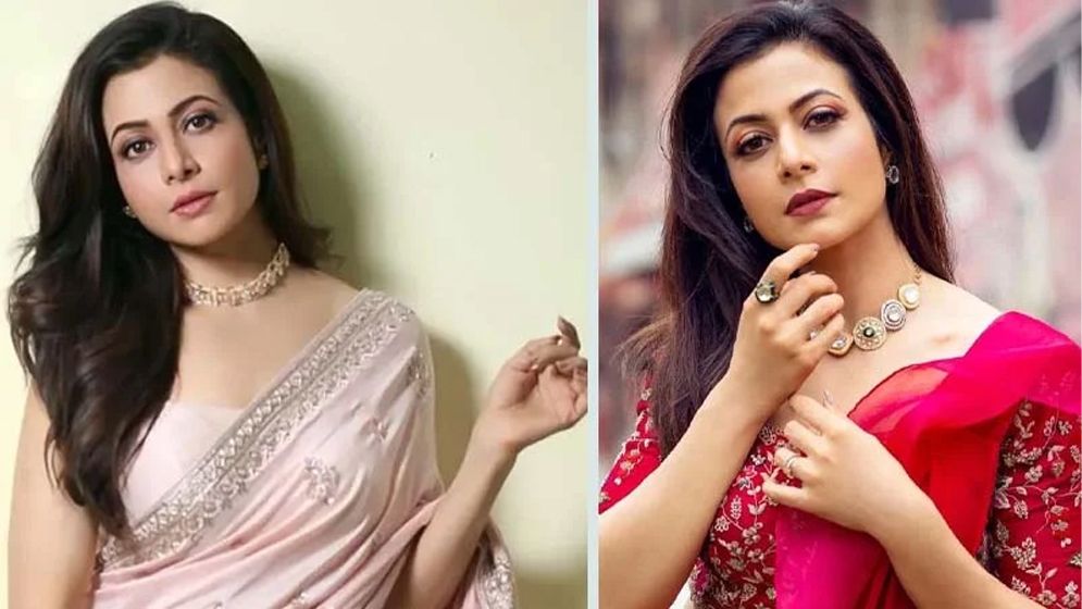 এবার সিরিয়ালে আসছেন কোয়েল মল্লিক!