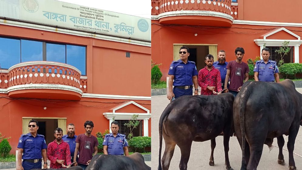 মুরাদনগরে গরু চোর চক্রের দুই সদস্য আটক