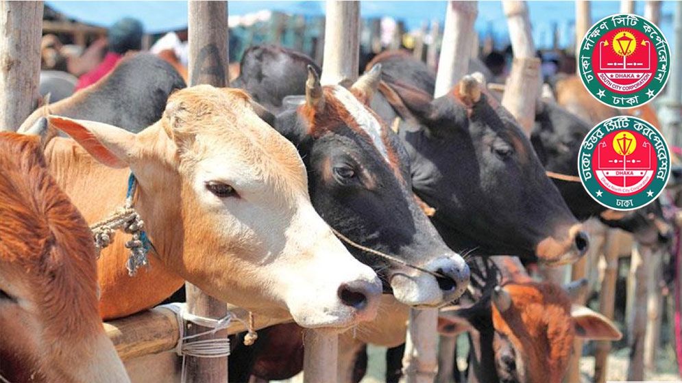 রাজধানীর যেসব জায়গায় বসবে পশুর হাট