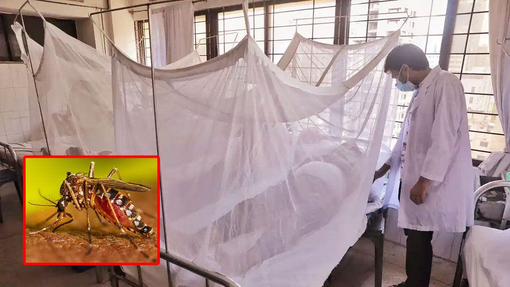 ২৪ ঘণ্টায় ডেঙ্গু নিয়ে হাসপাতালে আরো ৩১ রোগী