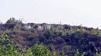 বিজিপি সদস্যসহ ৩৬ মিয়ানমার নাগরিকের অনুপ্রবেশ