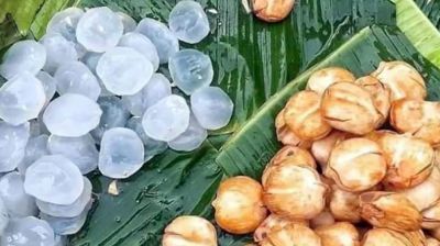 গরমে তালের শাঁসে মিলবে শান্তি 