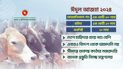 দেশে চাহিদার চেয়ে ২০ লাখ পশু বেশি আছে