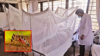 ২৪ ঘণ্টায় ডেঙ্গু নিয়ে হাসপাতালে আরো ৩১ রোগী