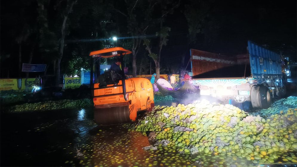 সাতক্ষীরায় ২০ মেট্রিক টন অপরিপক্ব আম জব্দের পর বিনষ্ট