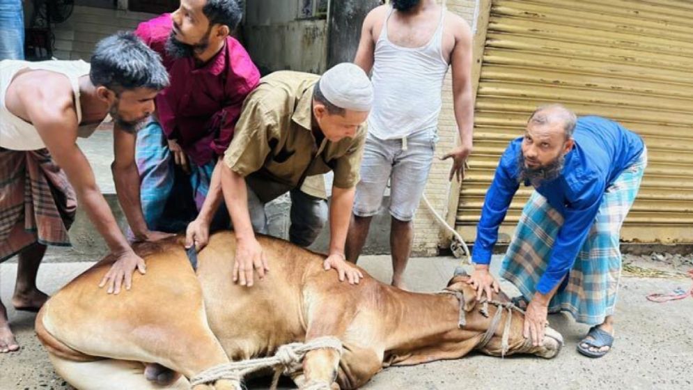 মহান আল্লাহর সন্তুষ্টির আশায় চলছে পশু কোরবানি