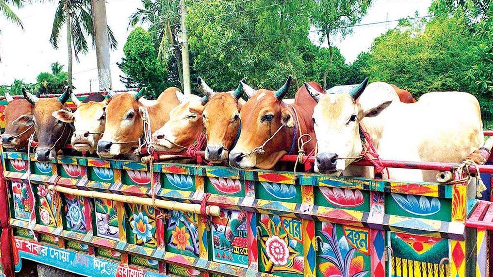 গরুবাহী গাড়িতে পুলিশের চাঁদাবাজি, বরখাস্ত ৫ সদস্য