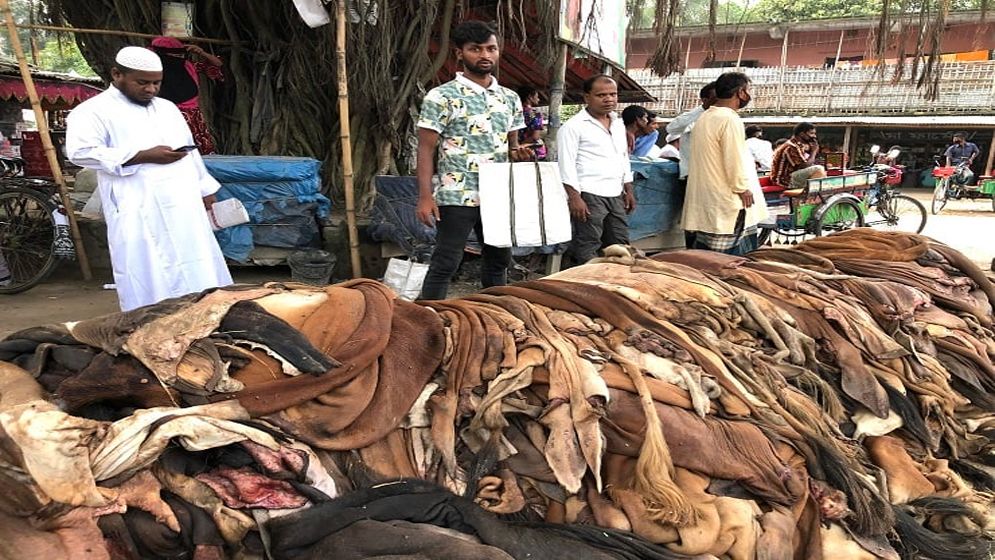 বেড়েছে গরুর চামড়ার দাম