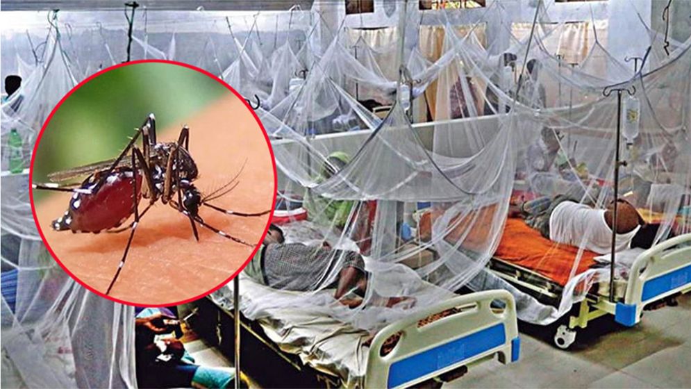 ডেঙ্গু আক্রান্ত হয়ে হাসপাতালে আরো ৩২ রোগী