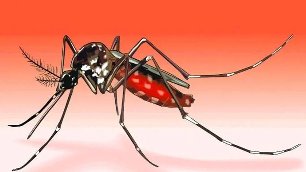 পাঁচ মাস পর ডেঙ্গু রোগীর রেকর্ড