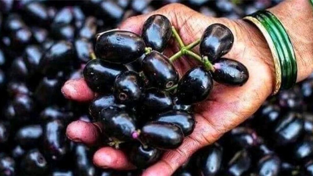 জামের সঙ্গে ভুলেও খাওয়া যাবে না যেসব খাবার