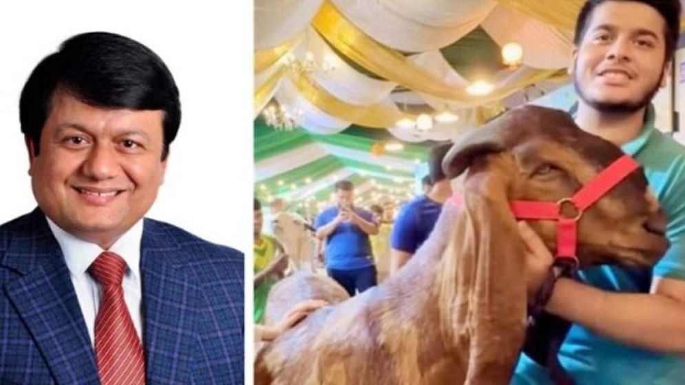 ১৫ লাখ টাকায় ছাগল কেনা ইফাত আমার ছেলে না