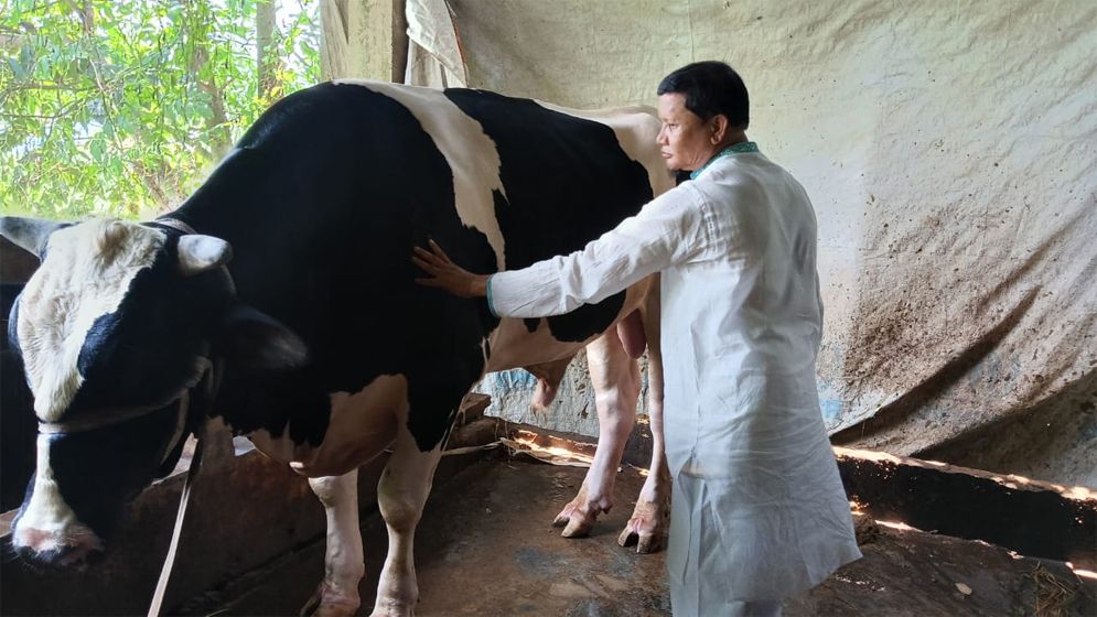 কোরবানির হাটে ‘কালা চাঁন’, দাম ১৫ লাখ