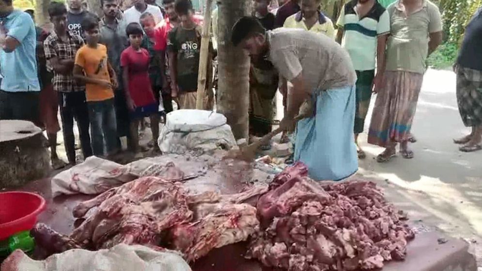 সাতক্ষীরায় রোগাক্রান্ত গরুর মাংস বিক্রি