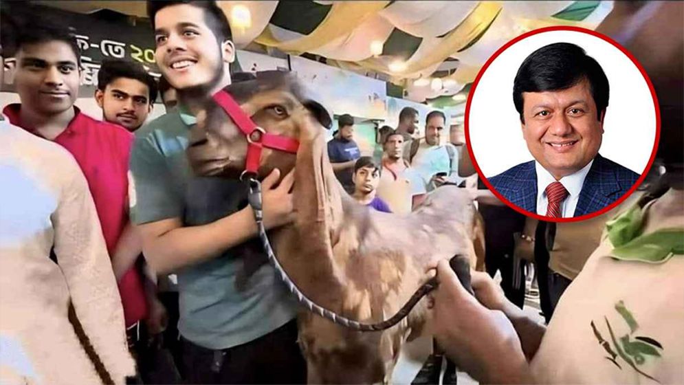 এক ছাগলেই ধ্বংস করলো মতিউরের সাজানো বাগান