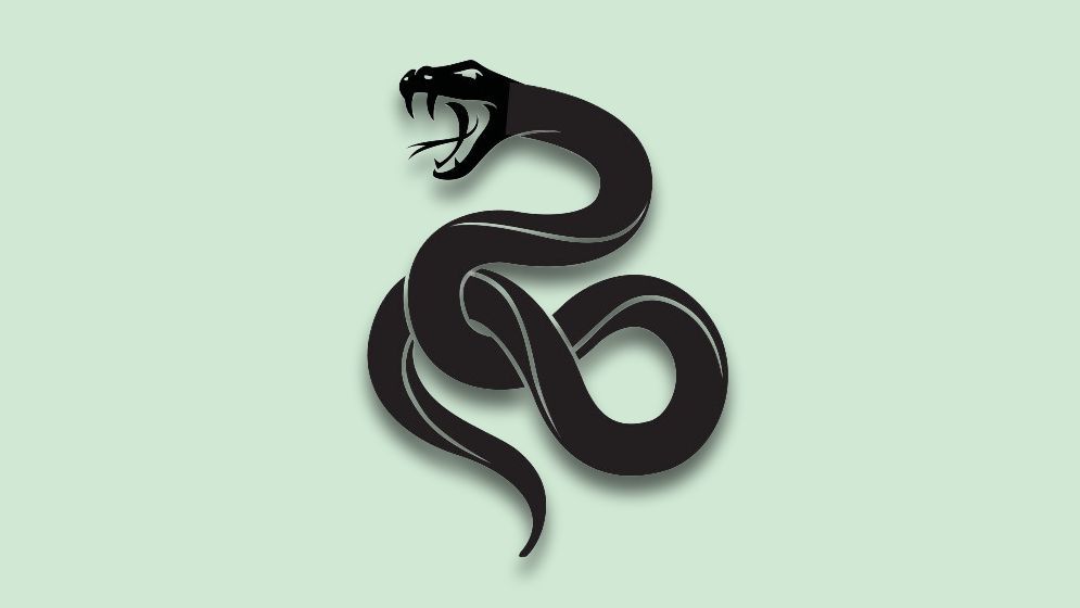 রাসেল ভাইপার ধরতে পারলে ৫০ হাজার টাকা পুরস্কার প্রত্যাহার