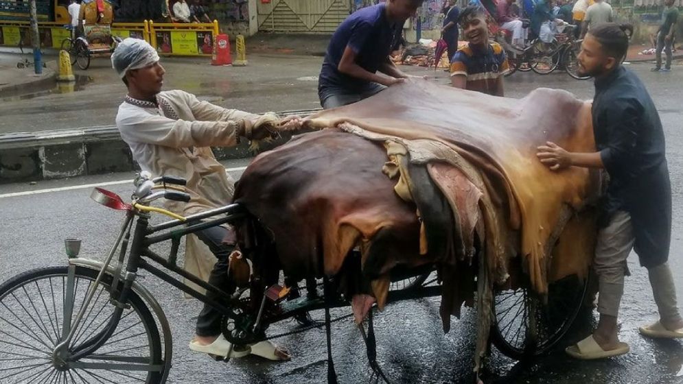 এবার কিছুটা বেড়েছে চামড়ার দাম