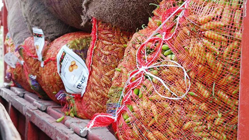 ভারত থেকে এলো ১২০ টন কাঁচামরিচ