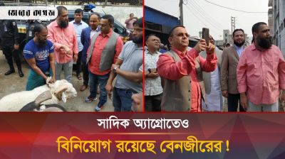 বেনজীরের থাবা থেকে রেহাই পেলেন না সাদিক এগ্রোও