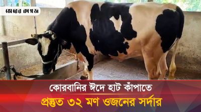 এলাকায় ভাইরাল ৩২ মণ ওজনের সর্দার