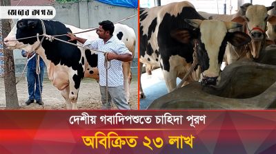 সাড়ে ২৩ লাখ পশু অবিক্রিত, বড় খামারিরা বেশি লোকসানে