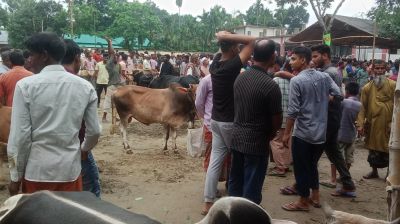 অনুমোদনহীন পশুর হাট বসানোয় ডিএসসিসির জরিমানা