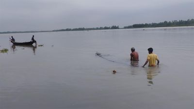 কুড়িগ্রামে বন্যা: পানির নিচে ফসলি জমি 
