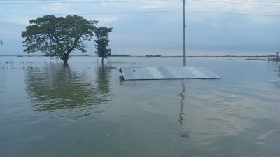 মধ্যনগরে বন্যা পরিস্থিতির অবনতি, আতঙ্কে মানুষ