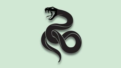 বাড়ি থেকে সাপের উপদ্রব কমাবেন যে উপায়ে