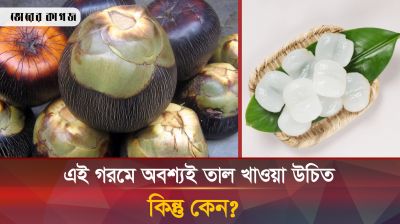 গরমে তাল খাওয়ার এতো উপকারিতা আগে জানতেন কি?