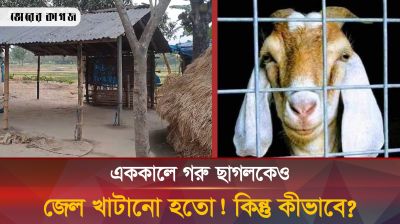 গ্রামীণ গরু ছাগলের জেলখানা কি আজও আছে?
