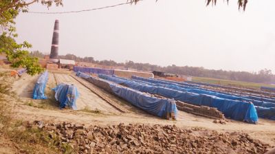 পাবনায় ৫০ বিঘা ফসলি জমি দখল করে ইটভাটা, অভিযোগ করেও হচ্ছেনা সুরাহা 