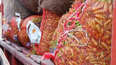 ভারত থেকে এলো ১২০ টন কাঁচামরিচ