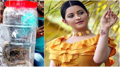 বিদায় রাসেল ভাইপার, স্বাগতম পরীমণি!