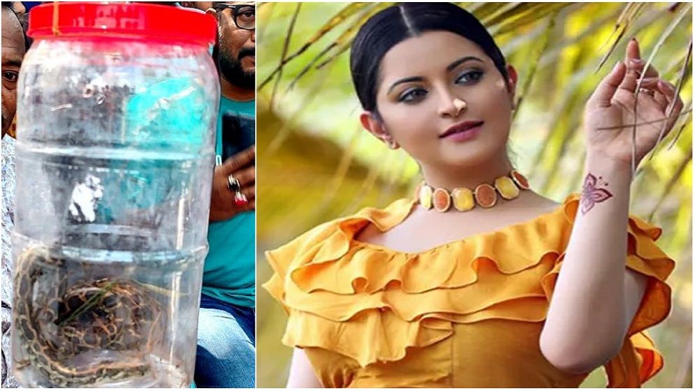 বিদায় রাসেল ভাইপার, স্বাগতম পরীমণি!