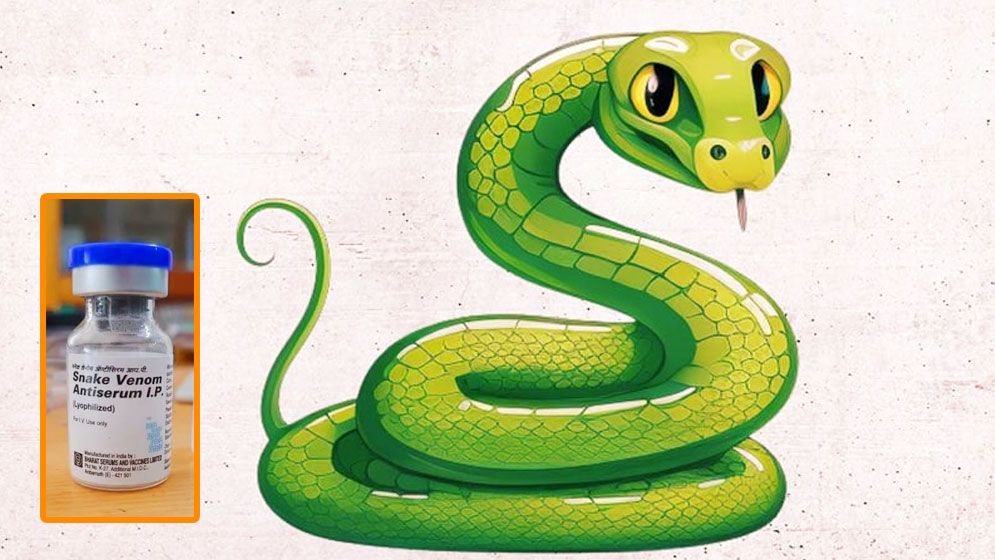 রাসেলস ভাইপারে মৃত্যুরোধে পর্যাপ্ত অ্যান্টিভেনম সরবরাহ চেয়ে নোটিশ