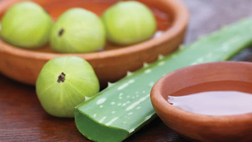 ভেষজের রস দিয়ে সকাল শুরু, দূরে থাকবে রোগবালাই