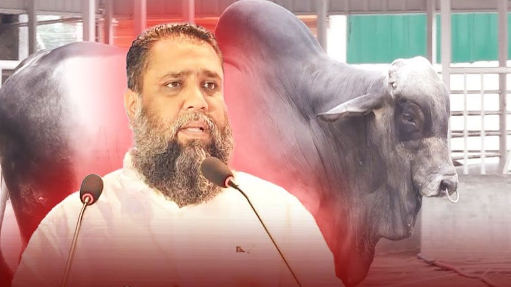 সাদিক এগ্রোর মাফিয়া ইমরানের দাম্ভিকতা ও পৈশাচিকতা ফাঁস
