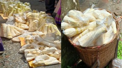 কাপ্তাইয়ে নিষেধাজ্ঞার মধ্যেও বাঁশ কোড়ল বিক্রির হিড়িক         
