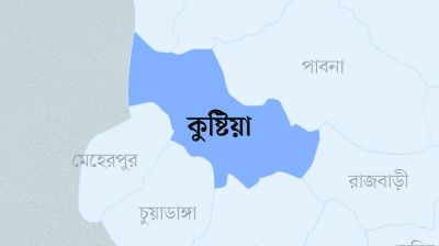 সেপটিক ট্যাংকে নেমে ২ রাজমিস্ত্রীর মৃত্যু