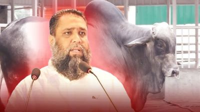 সাদিক এগ্রোর মাফিয়া ইমরানের দাম্ভিকতা ও পৈশাচিকতা ফাঁস
